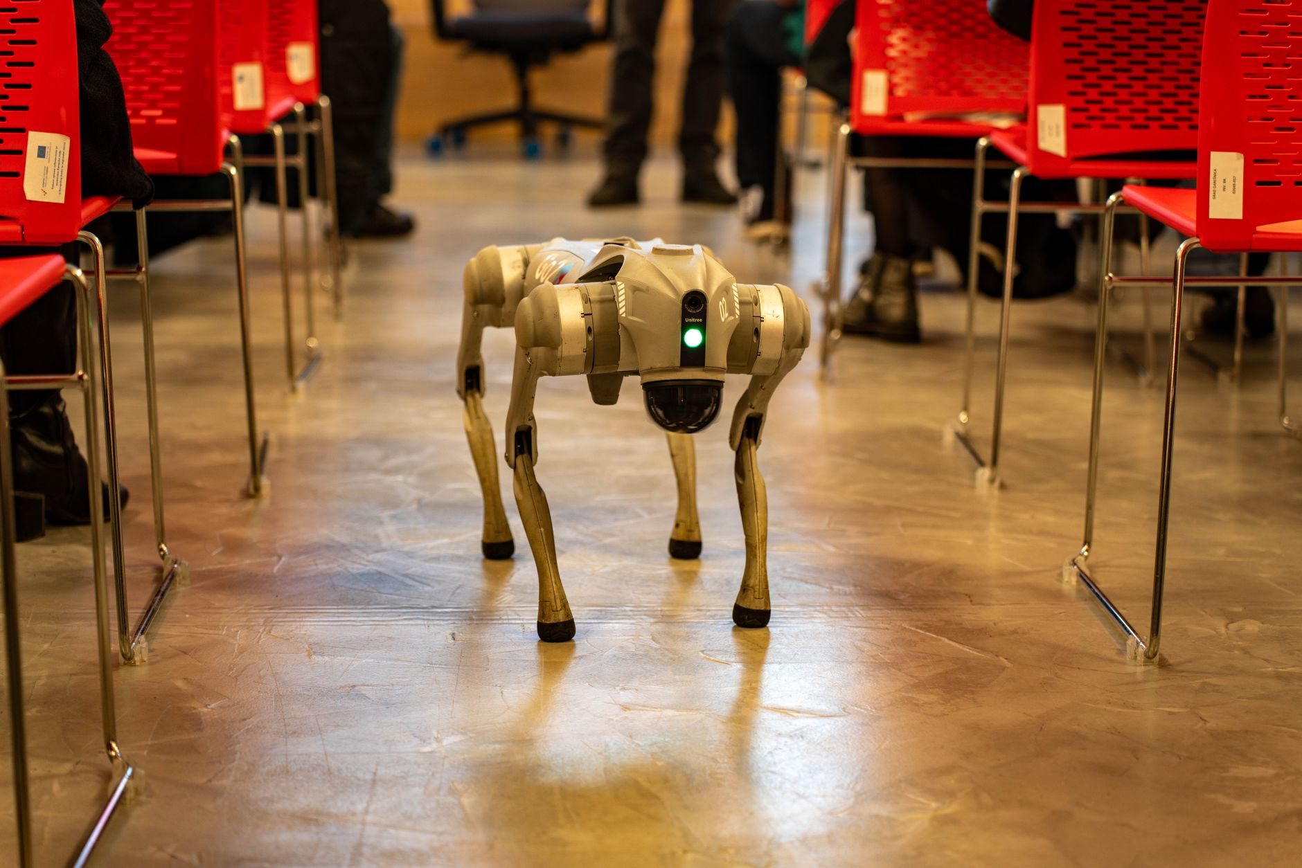 Digitale Helfer im Realitätscheck: Reinigungsroboter, Roboterhunde, humanoide Assistenten