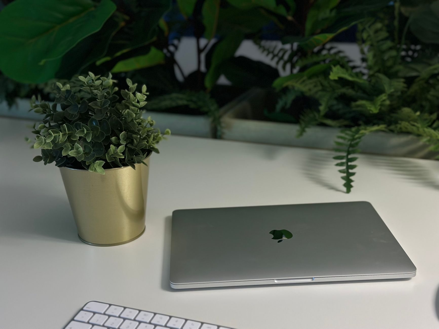 Digitale Produkte für Erwachsene: Markt und Kaufverhalten
