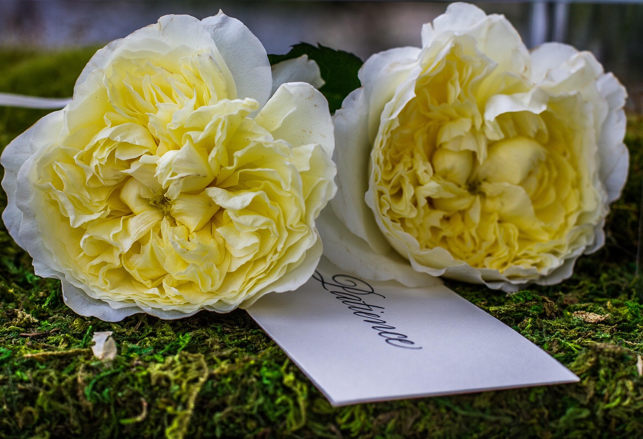 Tischkarten stilvoll gestalten: Papierarten, Formate und Drucktipps